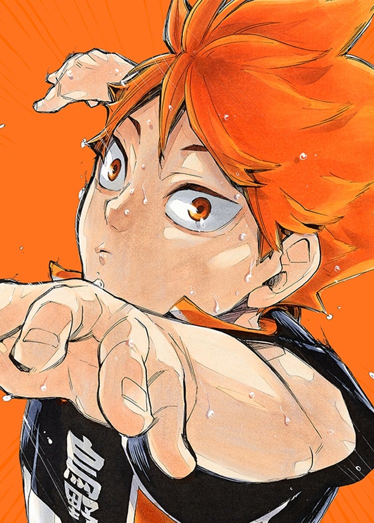 ハイキュー!! タテカラー版