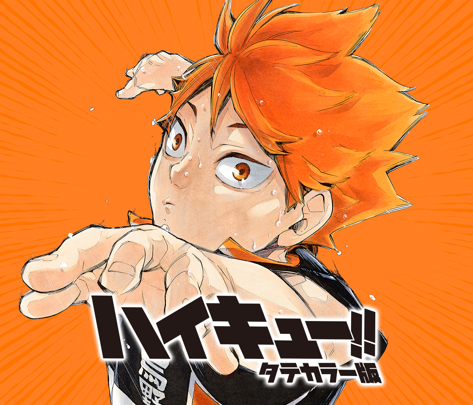 ハイキュー!! タテカラー版