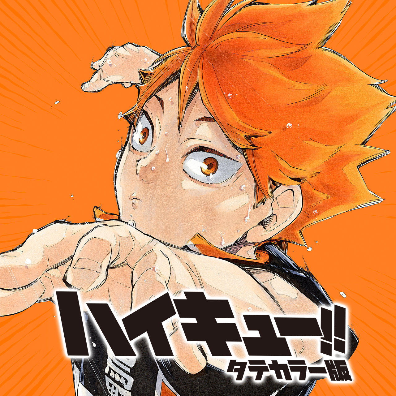 ハイキュー!! タテカラー版