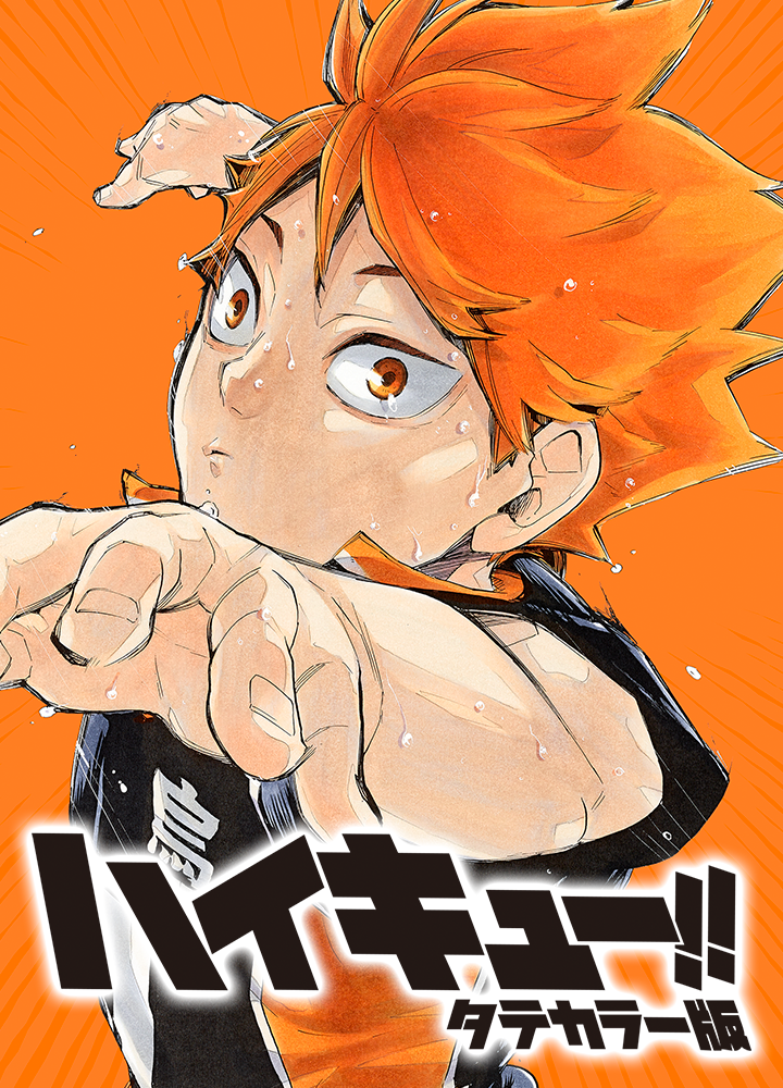 ハイキュー!! タテカラー版