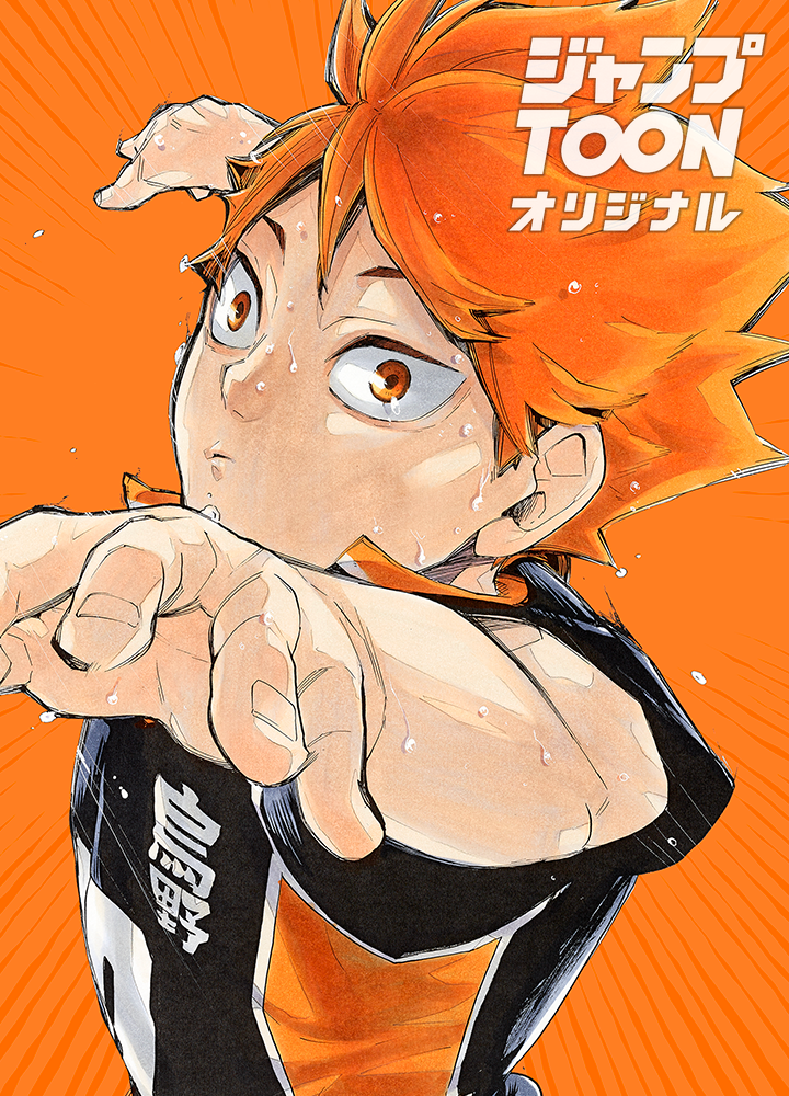 ハイキュー!! タテカラー版