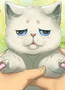 怪獣ネコパンチ_第30話_ネコドングッズの秘密