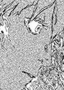 エウリュディケはいない_2-22 混乱する子