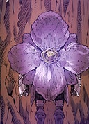 FLOWER WAR_第20話